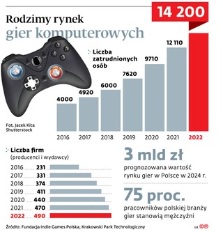 Rodzimy rynek gier komputerowych