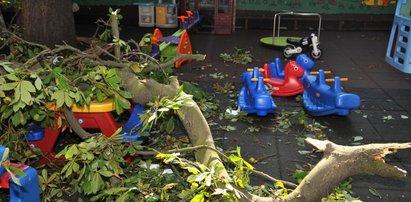 Dramat w Toruniu. Konar spadł na plac zabaw. Bawiły się tam dzieci