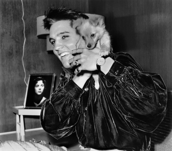 2. Muzyk Elvis Presley zmarł w 1977 roku w wieku 42 lat. W 2011 roku zarobił 55 milionów dolarów.