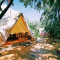 Kemping na pięć gwiazdek, czyli glamping. Ten sposób wypoczynku po cichu podbija serca Polaków