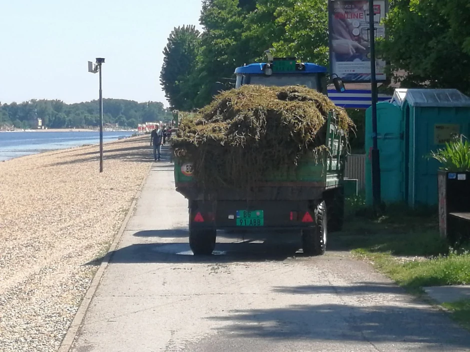 Kamioni odvoze pokošenu travu sa Ade Ciganlije