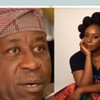 You deserve great deal of pity and sympathy - Dele Alake replies Chimamanda