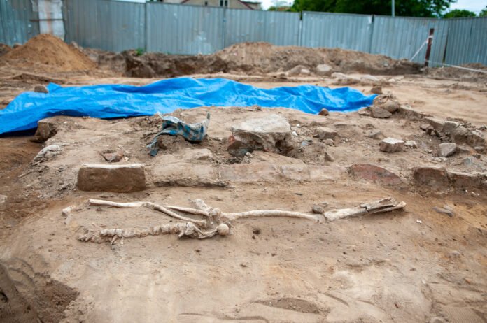 Znalezione na budowie szczątki zostaną poddane analizie antropologicznej