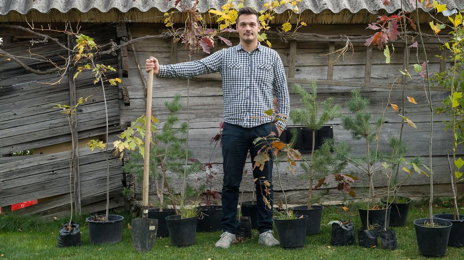 Drveće čeka da bude presađeno