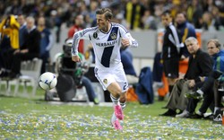 Beckham odchodzi z Los Angeles Galaxy