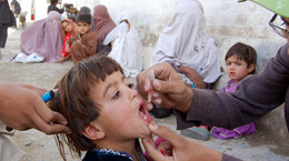 Poliomyelitis, czyli choroba Heinego-Medina