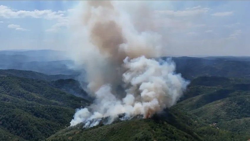 Veliki požar kod Knjaževca
