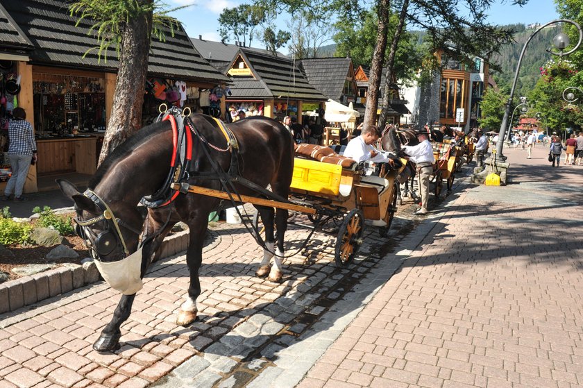 Zakopane idzie na rekord