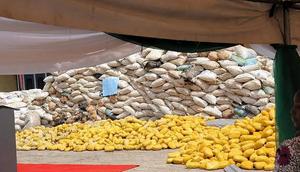 Nigerian Navy seizes illicit drugs, arrests suspected dealers in Akwa Ibom [Ships & Ports]