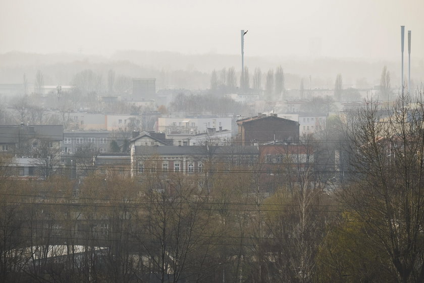 Tym sposobem załagodzisz skutki smogu 