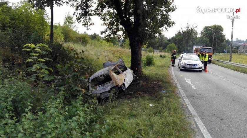 Tragiczny wypadek w Strzyżowicach. Kierowca zginął w płomieniach