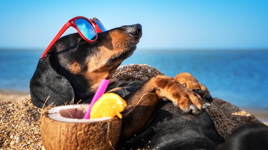 A magyarok még a strandolás közben is így spórolnak. Fotó: Getty Images