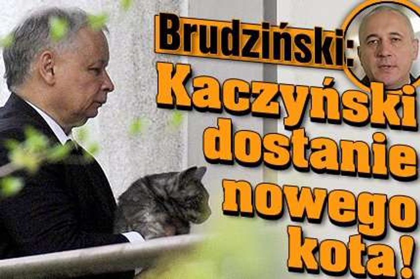 Brudziński: Kaczyński będzie miał nowego kota