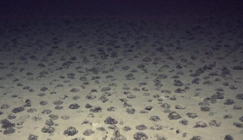 Noduli na morskom dnu