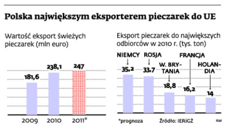 Polska największym eksporterem pieczarek do UE