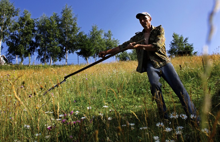 Krajobrazy w wiosce Magura w rumuńskiej Transylwanii