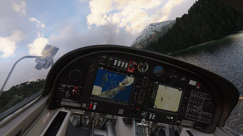 Microsoft Flight Simulator