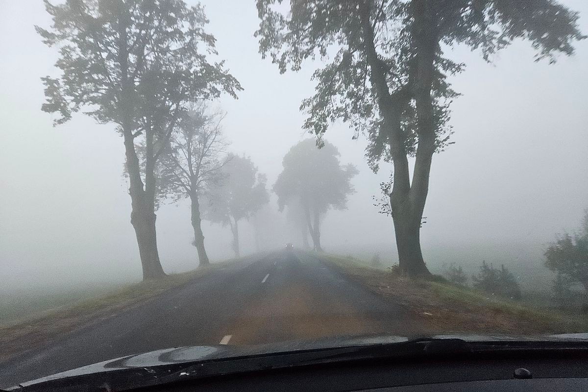 Uwaga na mgły! Prognoza pogody na środę, 15 października