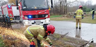 18-latek szarżował na drodze. Miał widowiskowe "lądowanie"