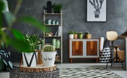 10 wskazówek dla poszukujących mieszkania pod wynajem