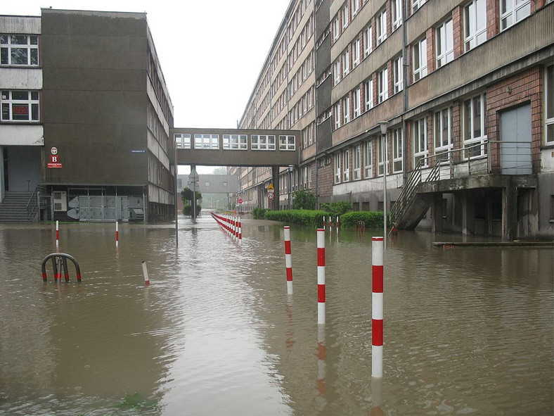 W nocy z 17 na 18 maja rzeka Kłodnica przerwała wały w Gliwicach i zalała miasteczko studenckie Politechniki Śląskiej. Fot. Tomasz Górny