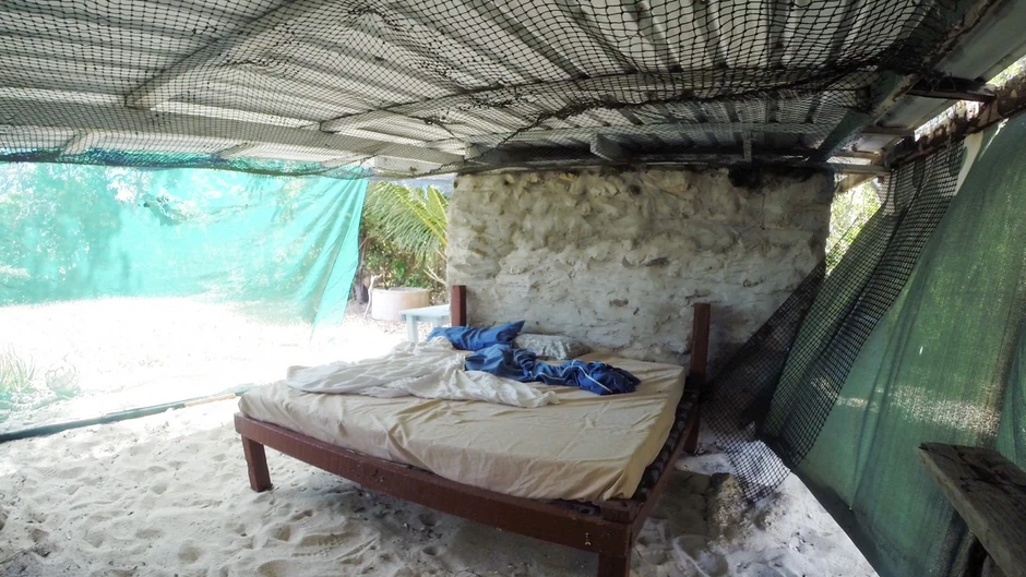 Dejvidov raj na zemlji