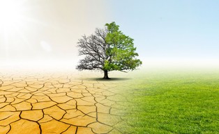 Technologia zastąpi intuicję rolników. Inwestorzy głosują pieniędzmi