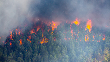 Pożary w Australii. Wielka Wyspa Piaszczysta zniszczona