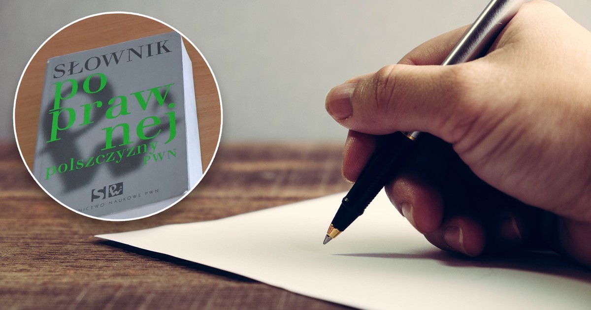 Polska gramatyka w szybki sposób - Czy zonderować Cię przed polonistką?