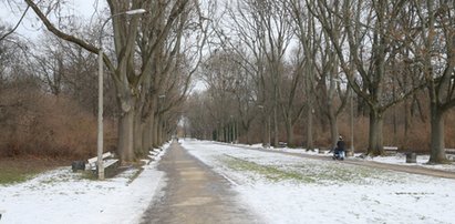 Ciemno i niebezpiecznie w Parku Skaryszewskim