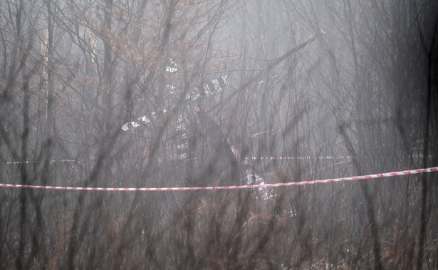 Miejsce wypadku prywatnego śmigłowca w pobliżu rzeki Dokawy PAP/Andrzej Grygiel