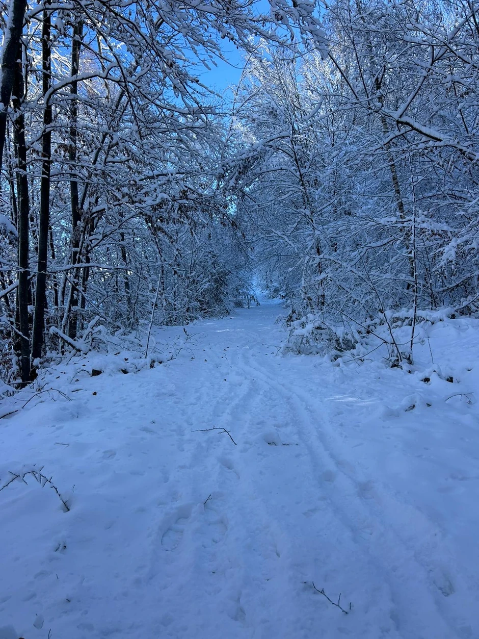 Zavejeni putevi, sneg će padati do srede 