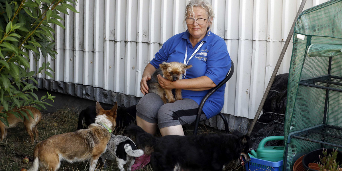 Barbara Makurat opiekuje się w tej chwili 35 psami, starymi, chorymi, których nikt już nie chciał. 