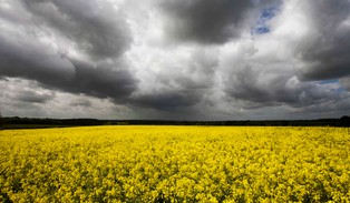 Problem z biopaliwami. Taniej importować biokomponenty niż wytwarzać w Polsce