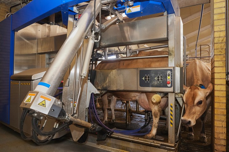 Although the largest source of development of Hungarian agriculture in the EU support cycle, many economies have been made uncertain / Photo: Northfoto