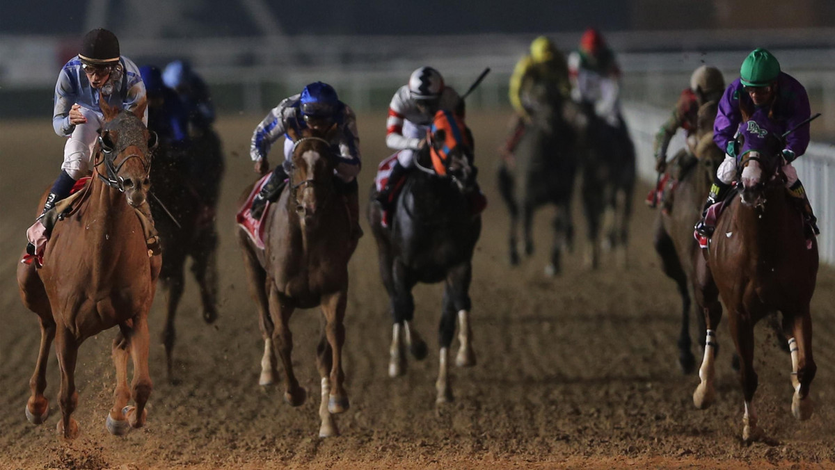 Wschodząca gwiazda Tryster pokazał klasę w czwartek 18 lutego na torze wyścigowym Meydan, zdobywając zwycięstwo w gonitwie Grupy 3 Dubai Millennium Stakes sponsorowanej przez Al. Tayer Motors.