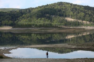 Doniesienia o śniętych rybach w Małopolsce. Wojewoda zwołał sztab kryzysowy