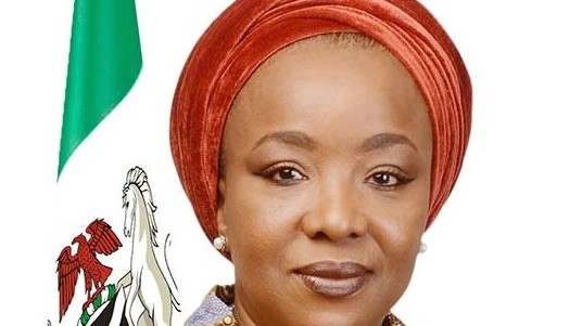 FG says 74,413 jobs have been created through environmental projects - Vimarsana News