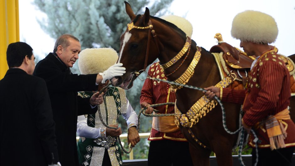 Prezydent Turcji Recep Tayyip Erdogan (drugi z lewej) ogląda konia, którego otrzymał w prezencie od prezydenta Turkmenistanu podczas oficjalnej wizyty w tym kraju, 2014 r.