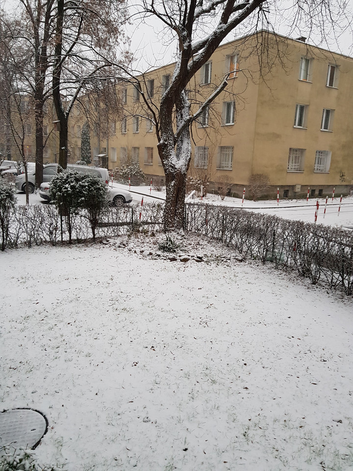 Zima na Saskiej Kępie, Warszawa