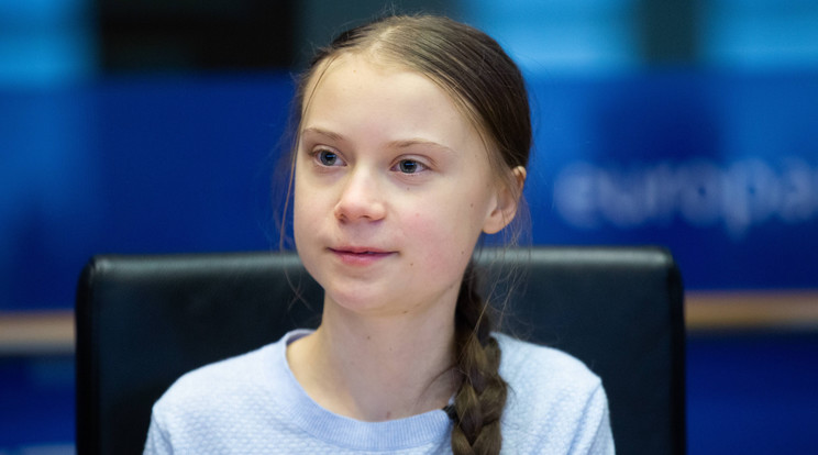 Greta Thunberg /Fotó: Northfoto