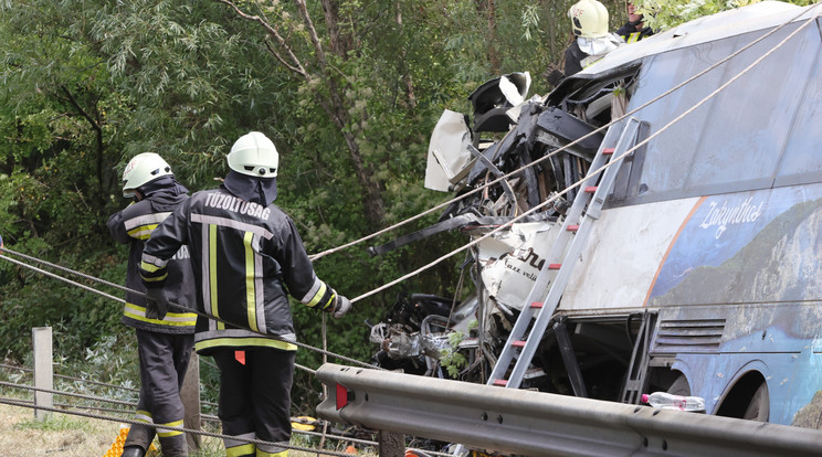 Megrázó képek az M7-es busztragédiáról / Fotó: Grnák László