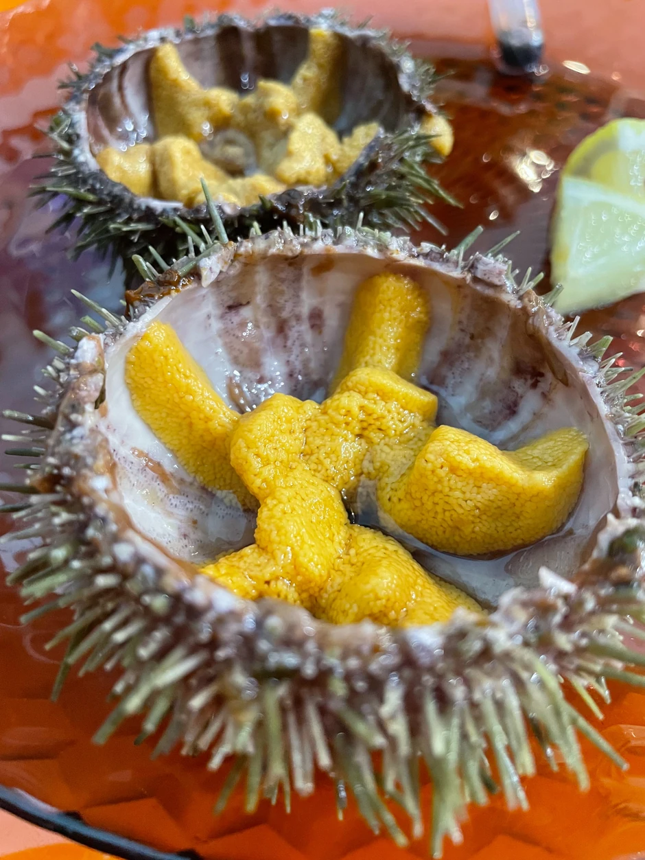 Specijalitet - morski ježevi