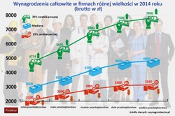 Kto lepiej płaci: mała czy duża firma, z polskim czy zagranicznym kapitałem?