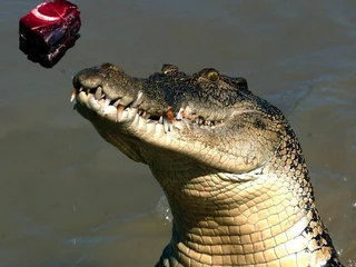 Kakadu, Australia