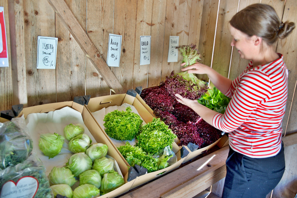 Smaladia - kiosk samoobslugowy