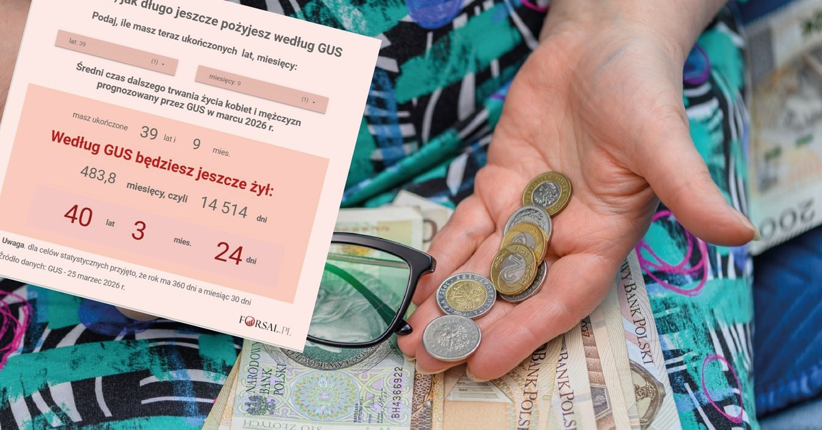 Jak długo jeszcze pożyjesz? Od tych danych GUS zależy twoja przyszła emerytura [KALKULATOR 2026]