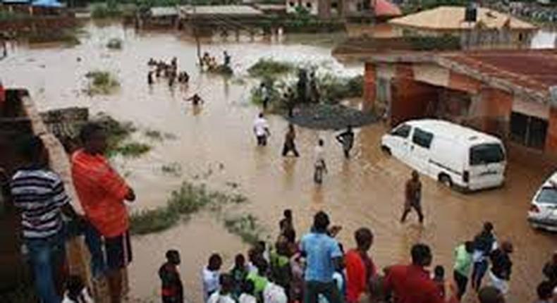 11 die, 86, 710 hectares of farmland destroyed by flood in Sokoto, Kebbi, Zamfara -- NEMA