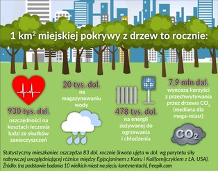 9 na 10 osób na świecie oddycha zanieczyszczonym powietrzem. Co może zrobić miasto?