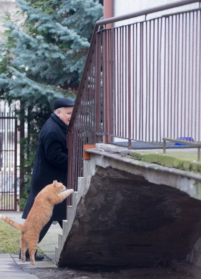 Kaczyński z Rudym